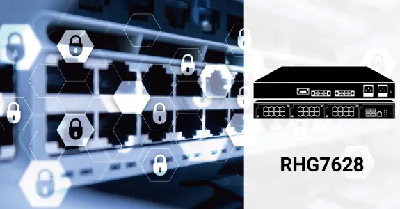 RHG7628 PoE Switch For IP Surveillance